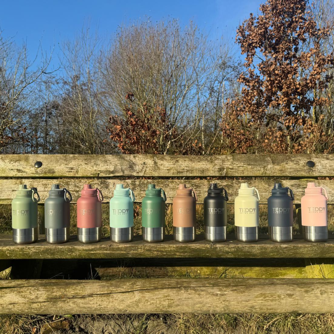 10 portable water bottles for dogs in a row on a bench