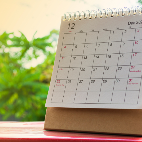 2025 UK Events for Dogs and their Pawrents