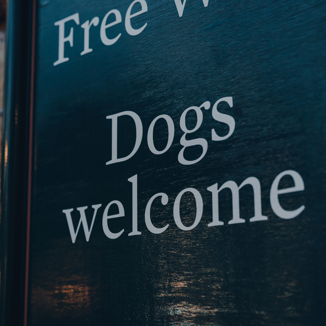 Top 20 Dog Friendly Places to Eat in the UK