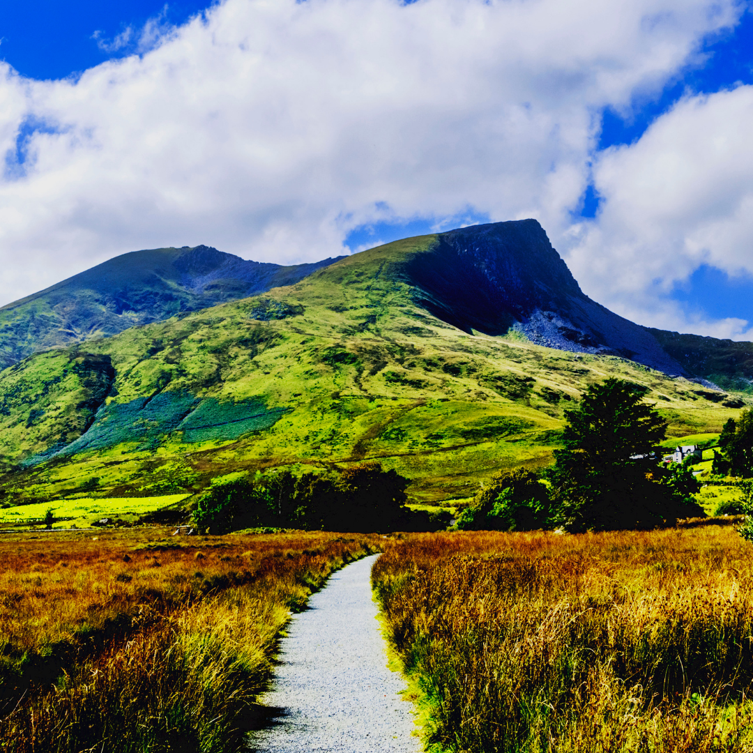 Top 20 Holiday Destinations in the UK to Take Your Dog