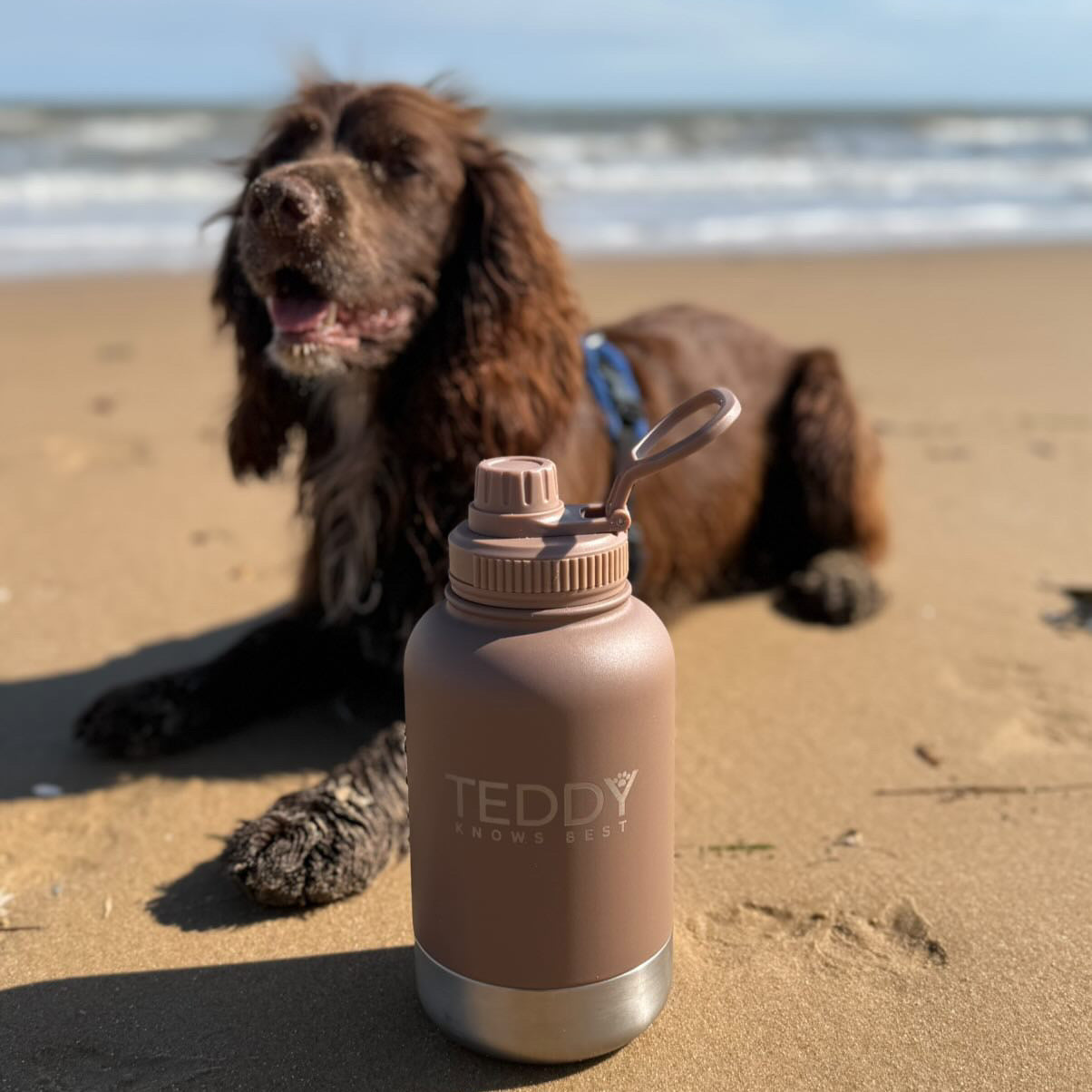 Mocha 3 in 1 Portable Water Bottle