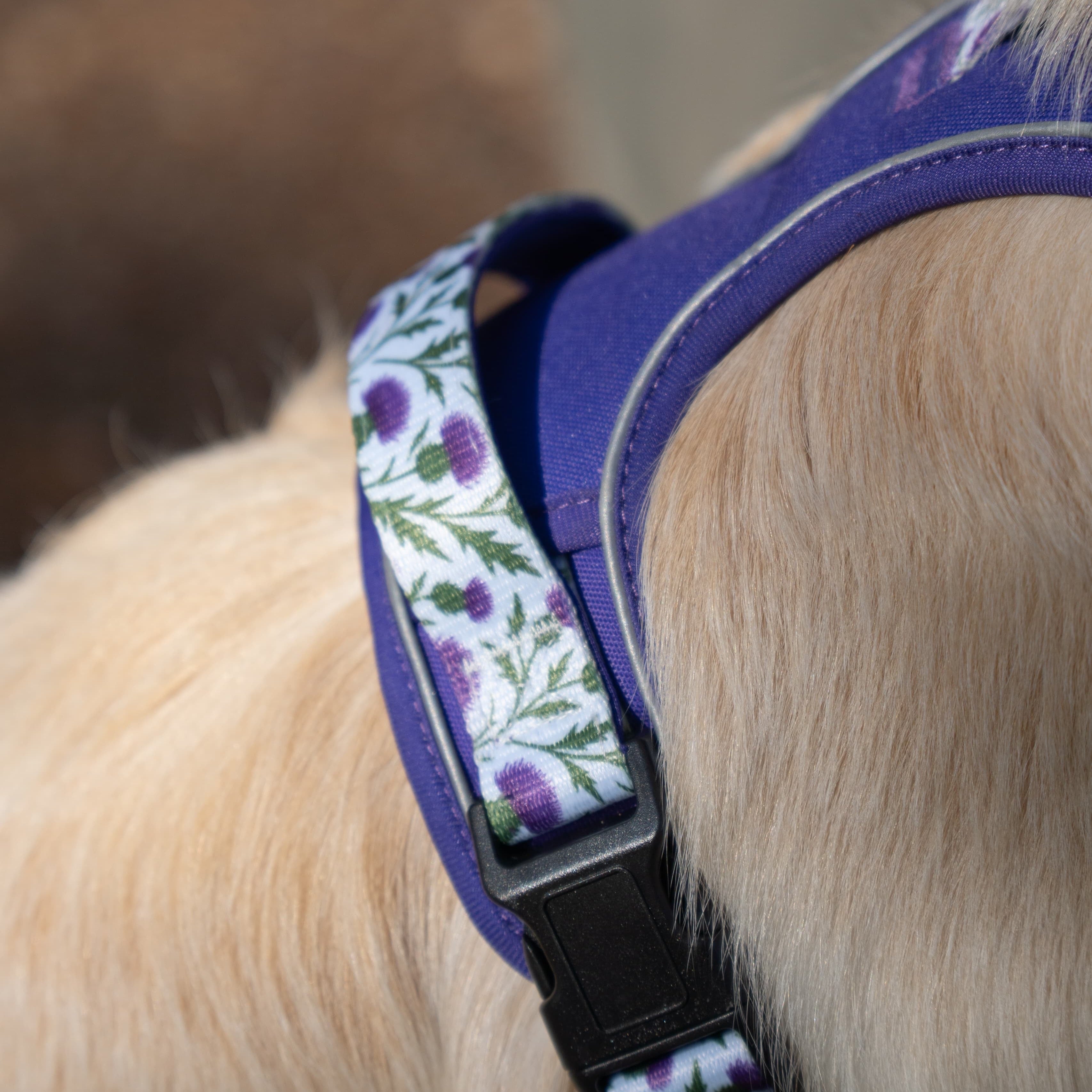 Thistle While You Walk Harness