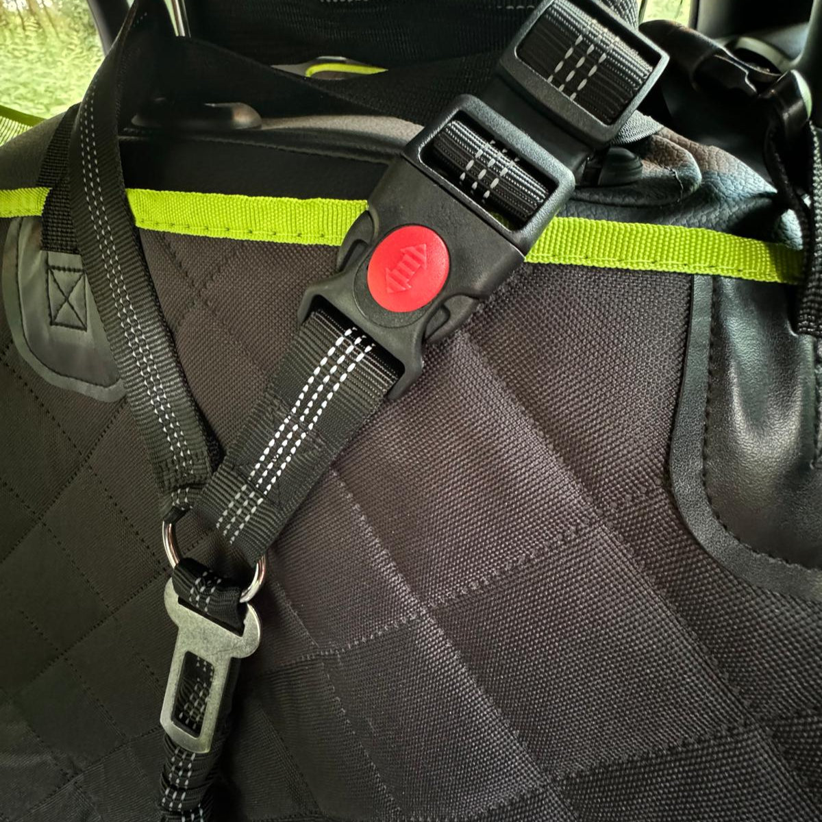 seatbelt for dogs with lock feature on the clip