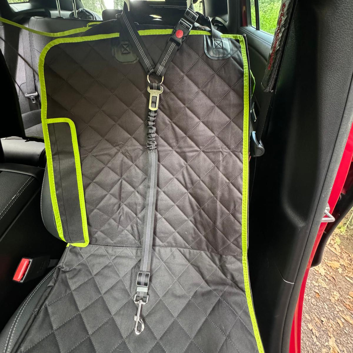 seatbelt for dogs in the passenger seat