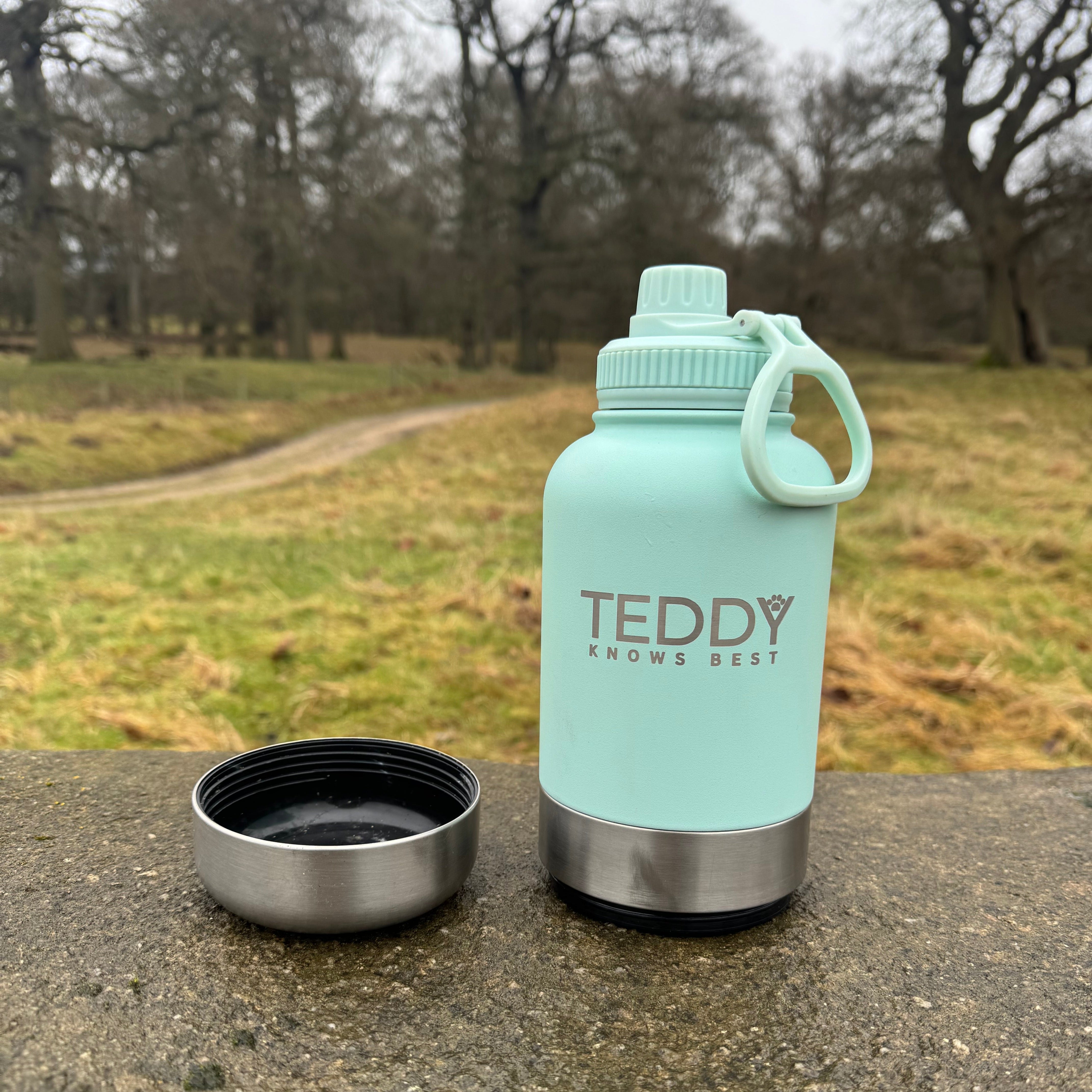 Baby Blue 3 in 1 portable water bottle