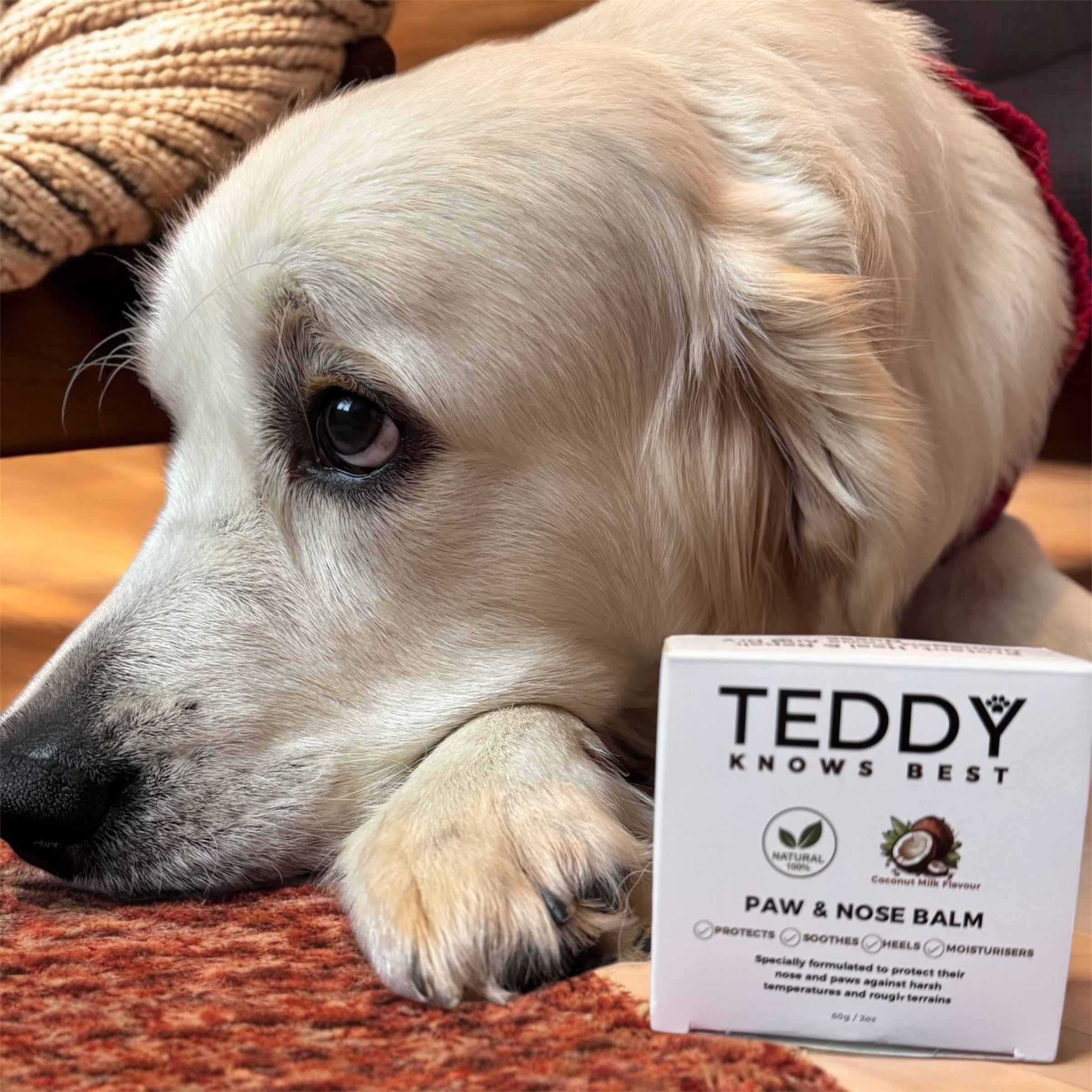Paw and Nose Balm for dogs