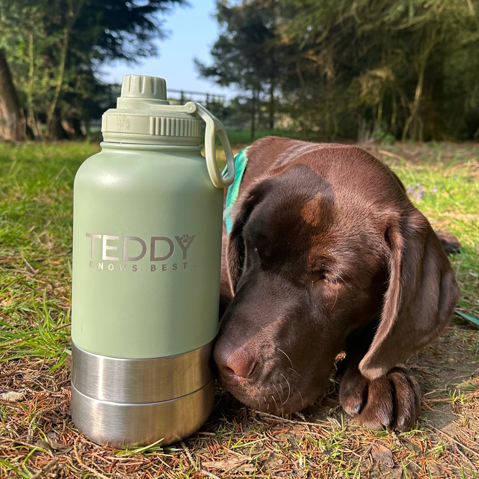 Sage Green 3 in 1 Portable Water Bottle