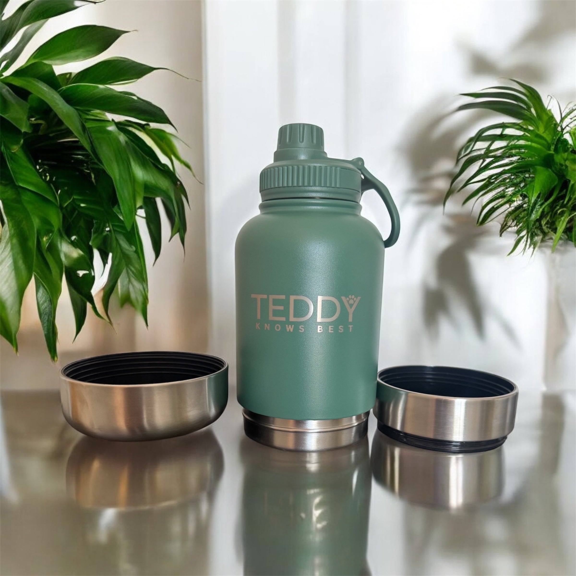 Forest Green 3 in 1 Portable Water Bottle