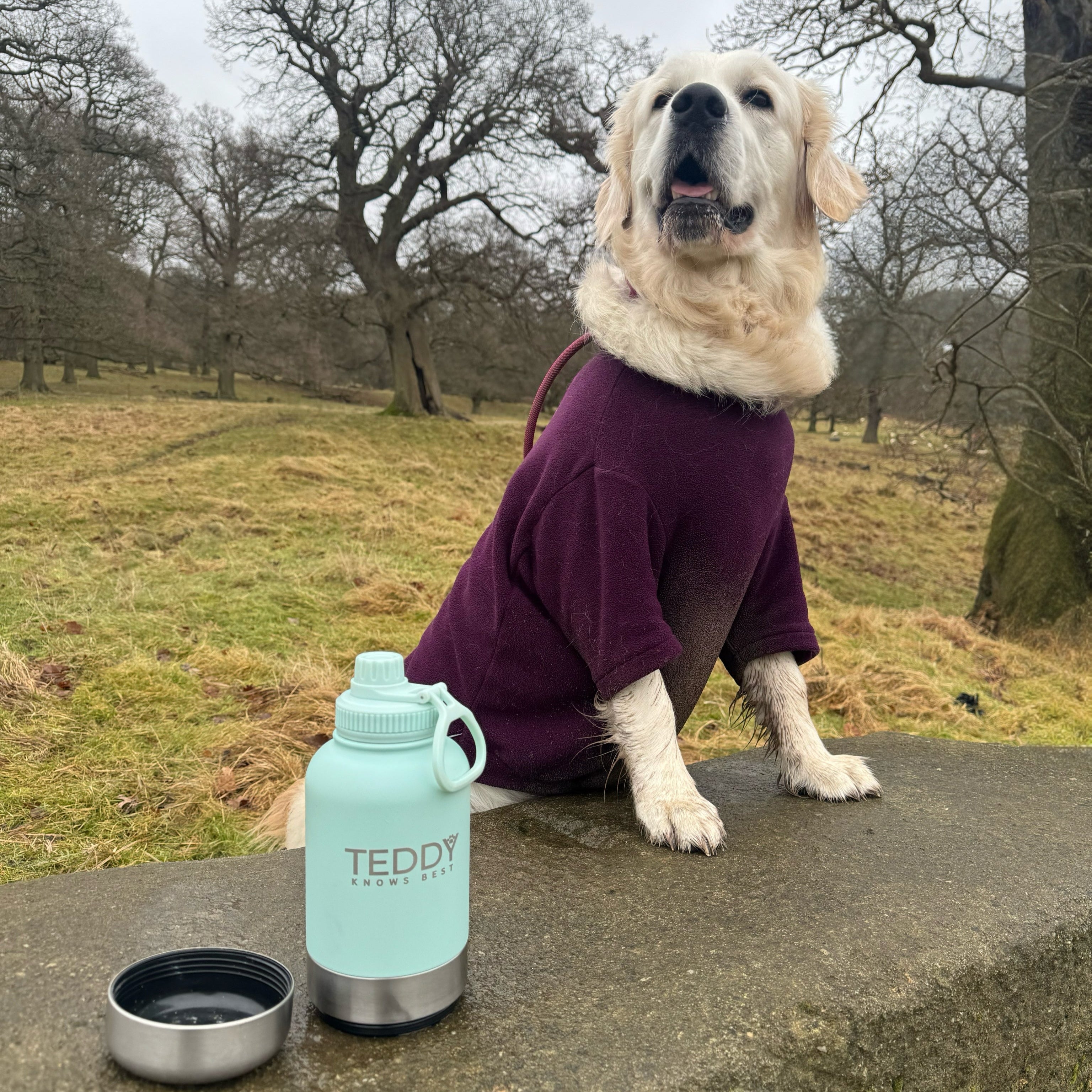 Baby Blue 3 in 1 Portable Water Bottle