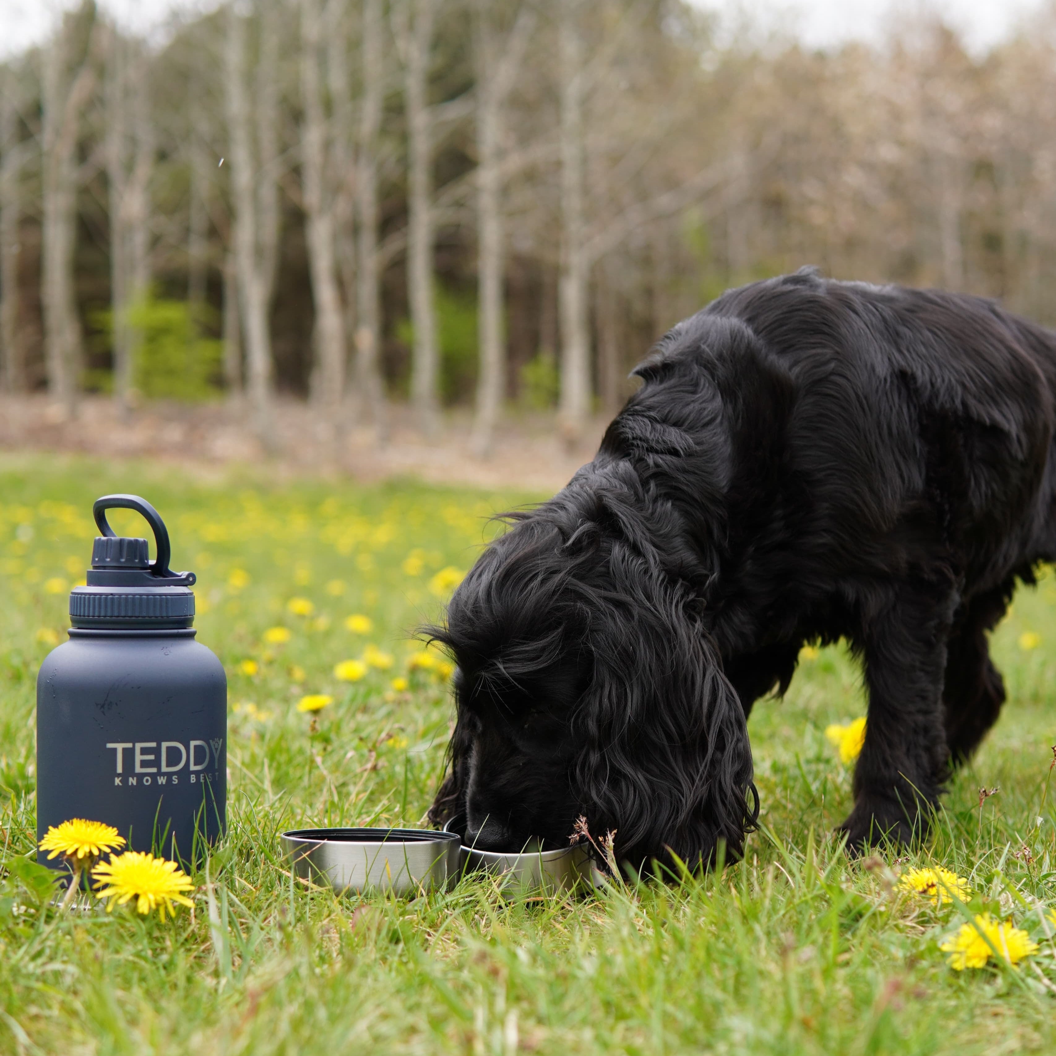 Navy Blue 3 in 1 Portable Water Bottle