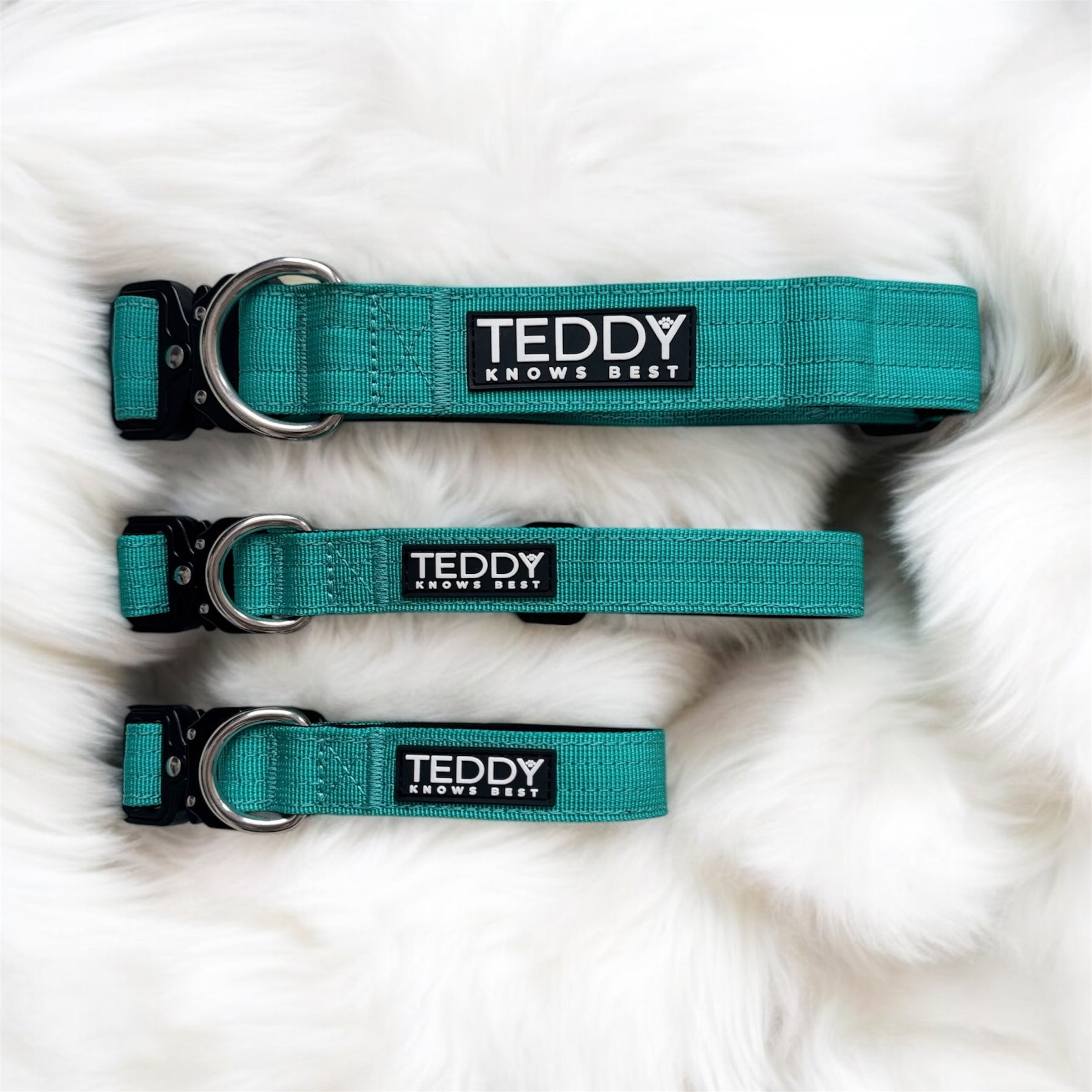 adjustable dog collars in sizes small, medium and large