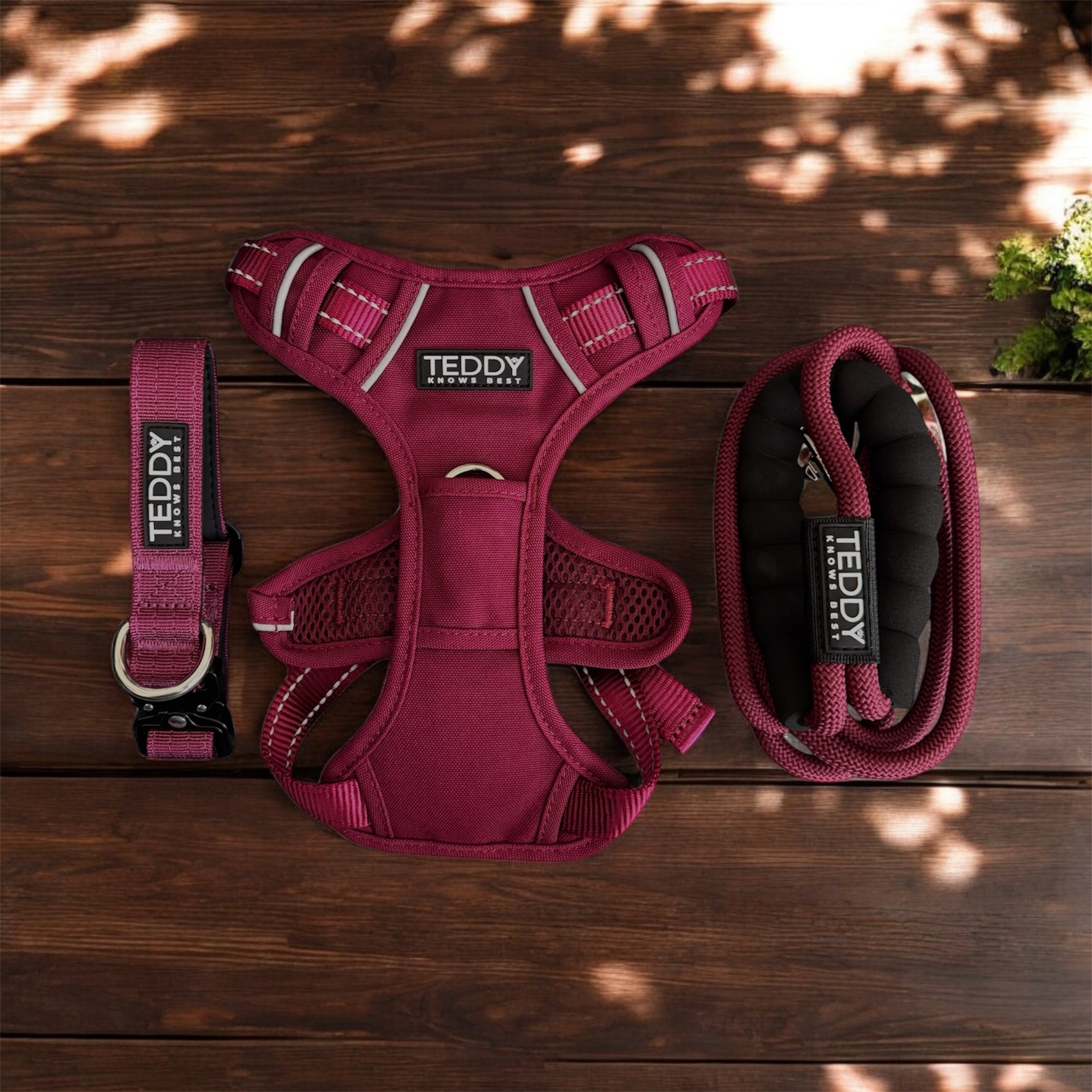 Teddy Knows Best Adjustable Harness and Collar with matching lead in the colour Burgundy