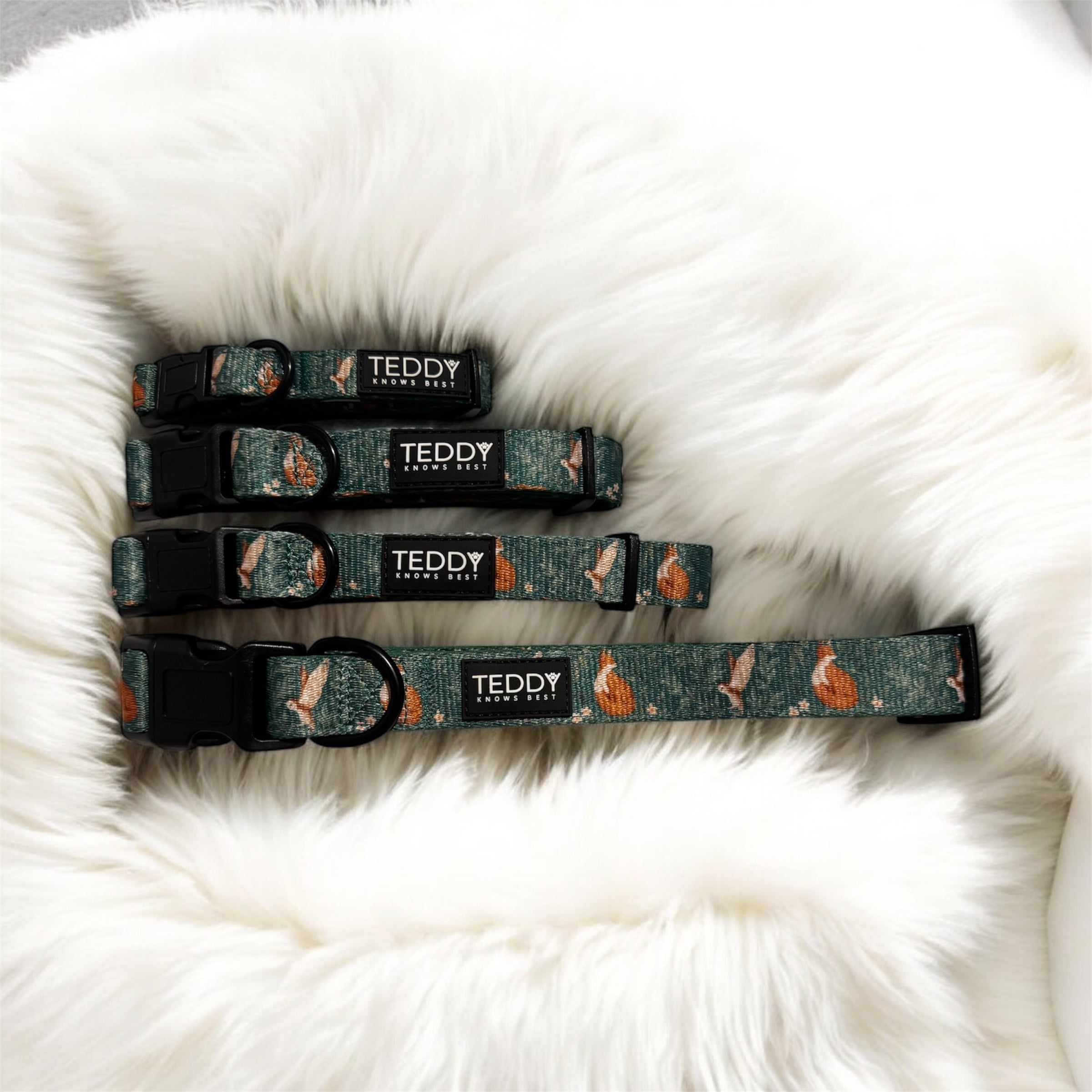 Woodland Wanderers Collar