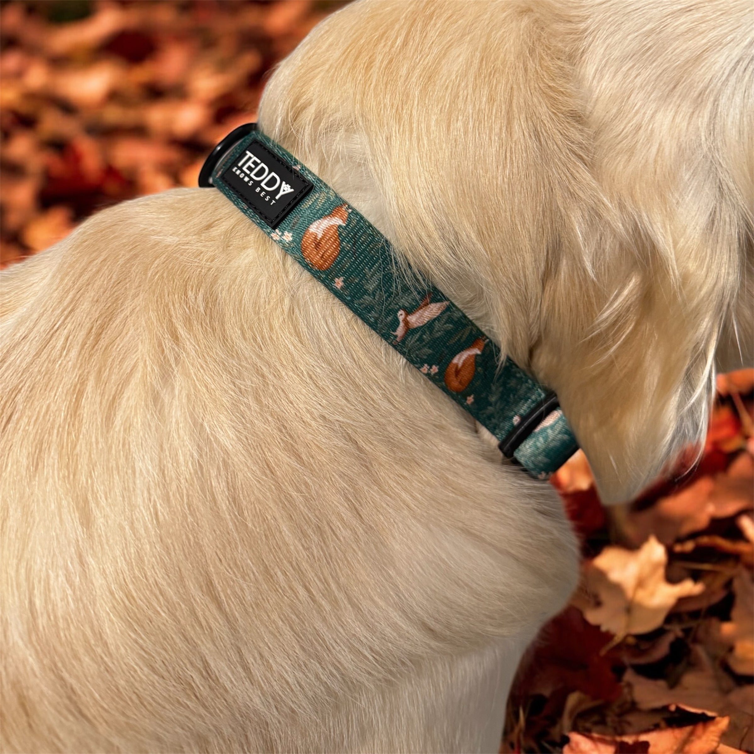Woodland Wanderers Collar