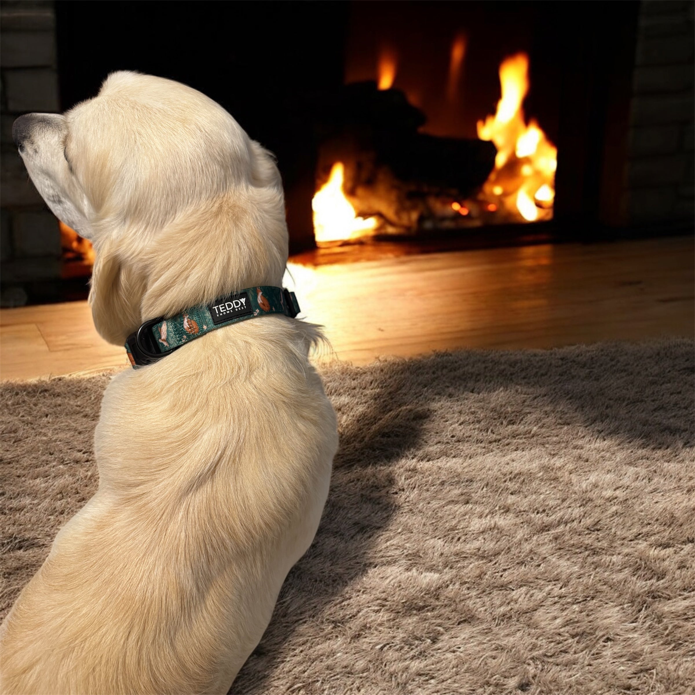 Woodland Wanderers Collar