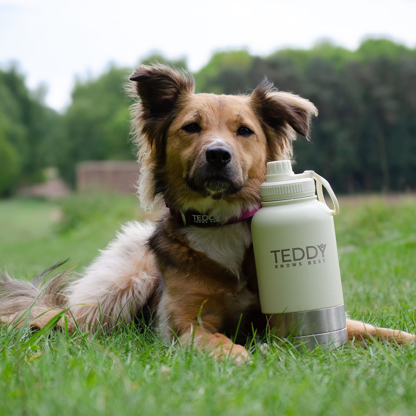 White 3 in 1 Portable Water Bottle