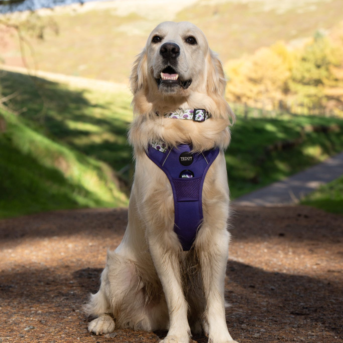 Harness & Lead Bundle