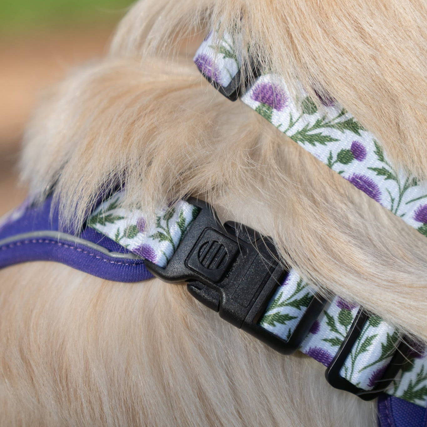 Thistle While You Walk Harness