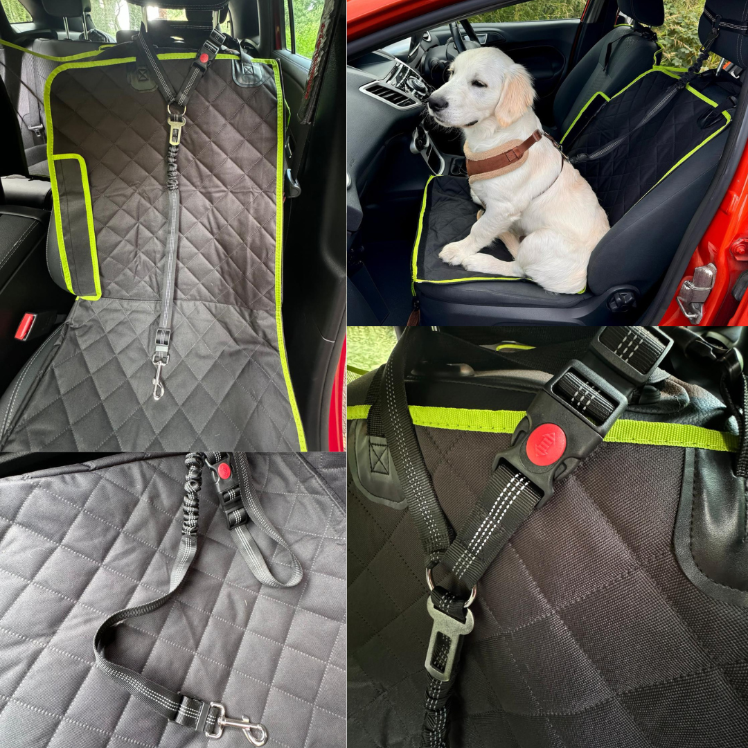 seatbelt for dogs
