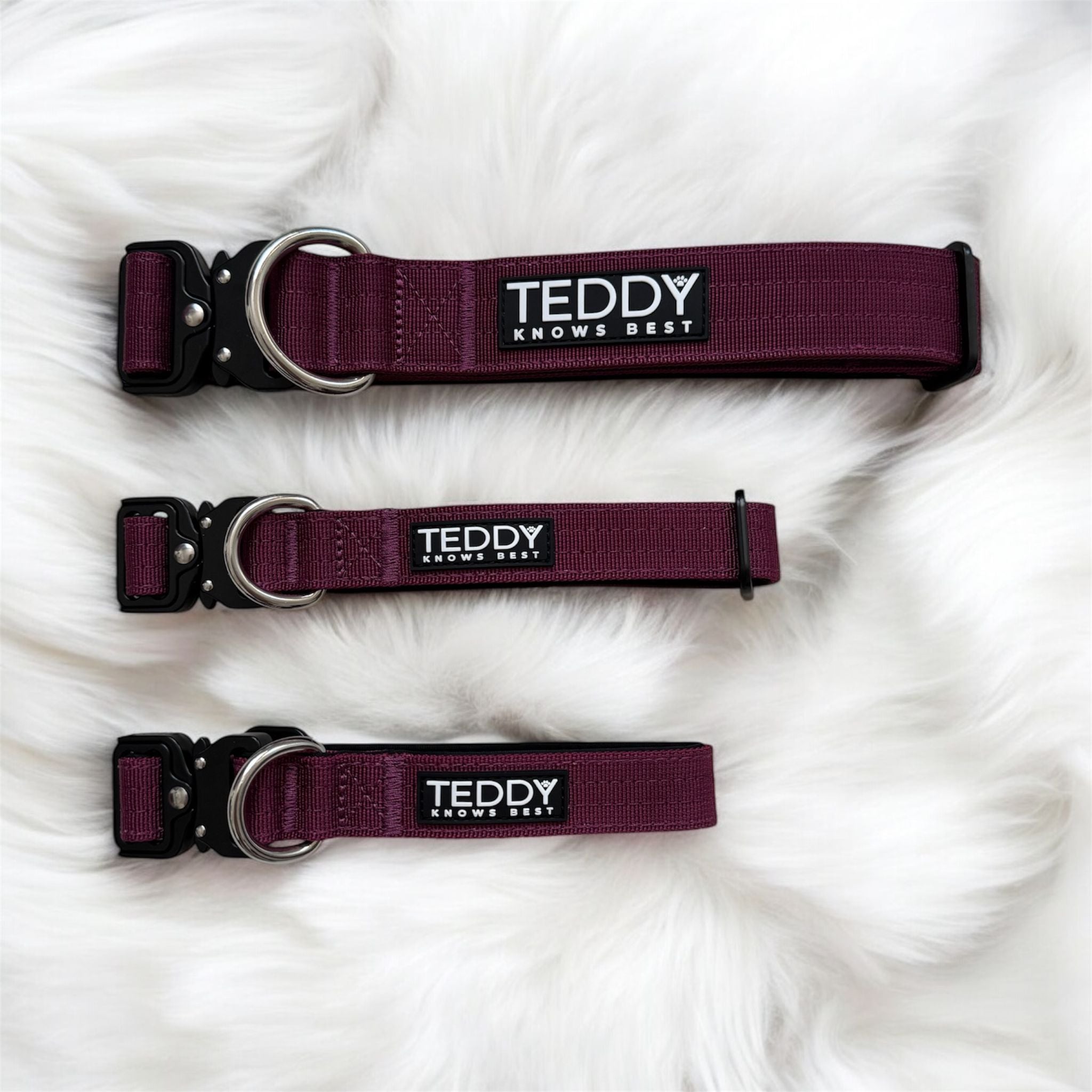 adjustable dog collars in sizes small, medium and large