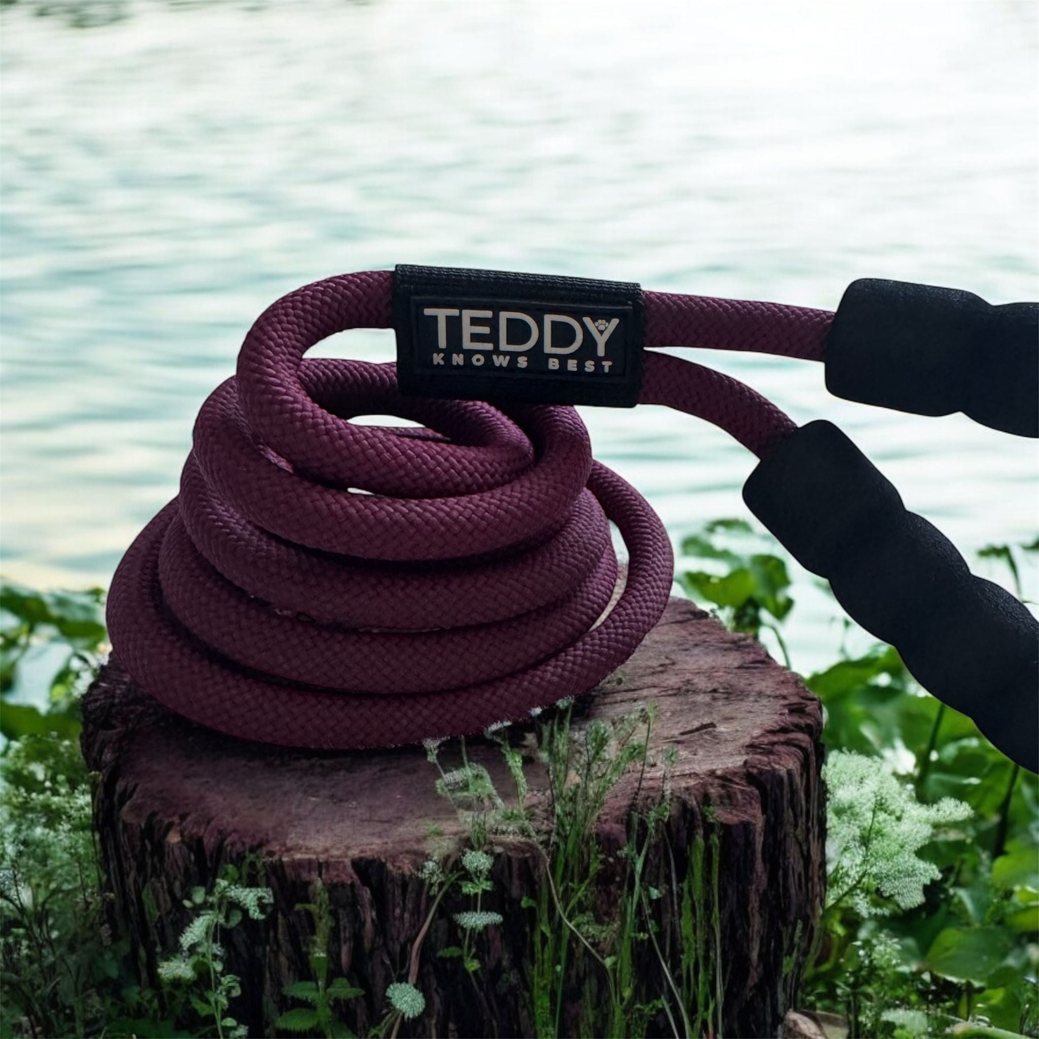 6ft rope lead for dogs in burgundy on a tree stump