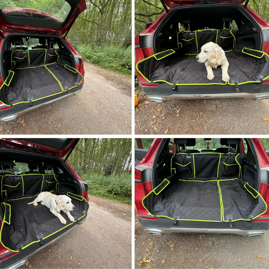 car seat cover for dogs assembled in the boot