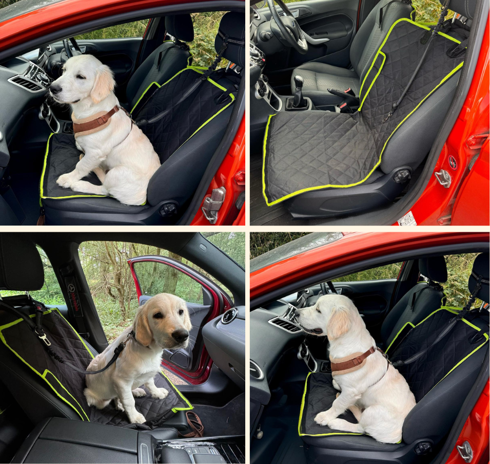 car seat cover for dogs with the front seat section removed and put in the passenger seat