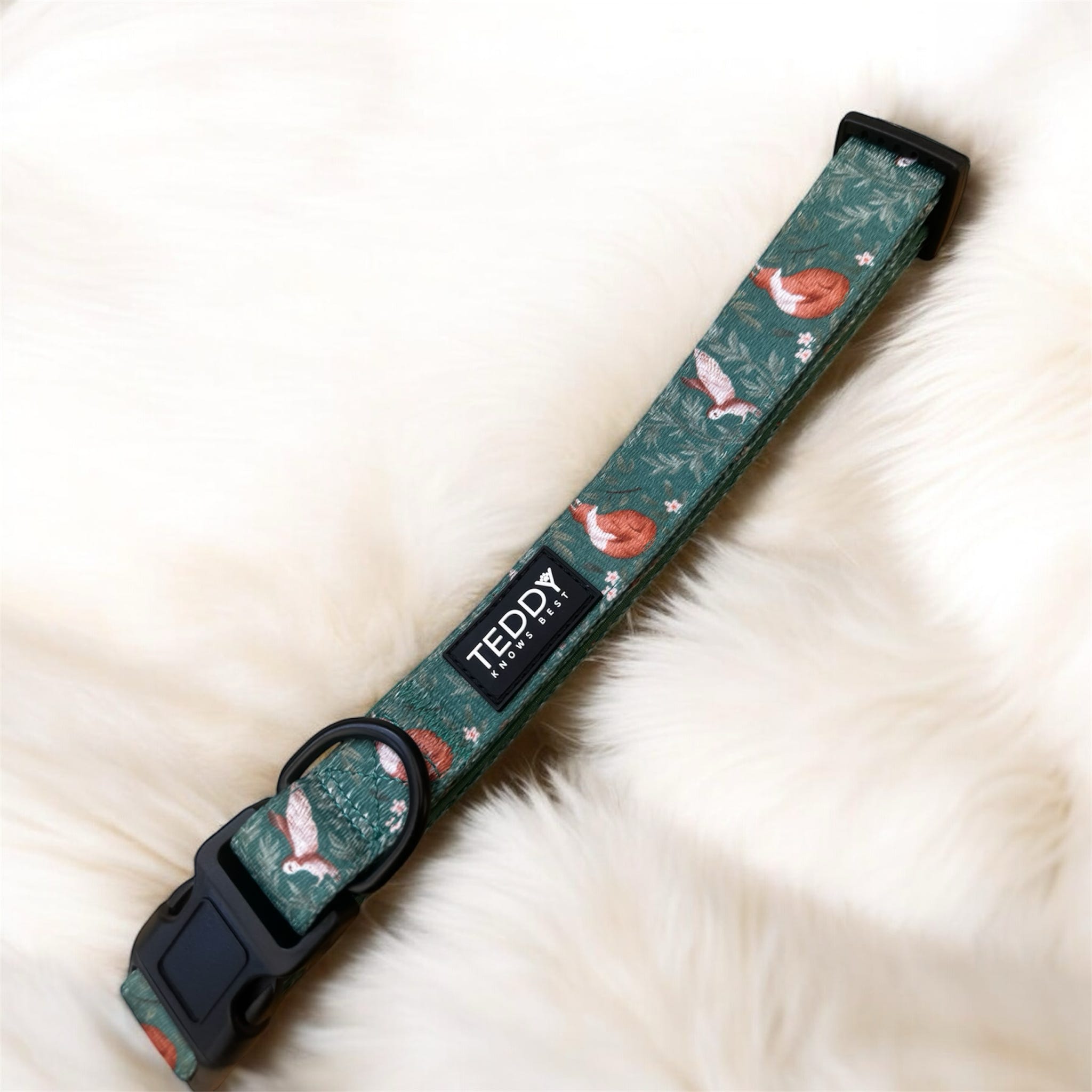 Woodland Wanderers Trio