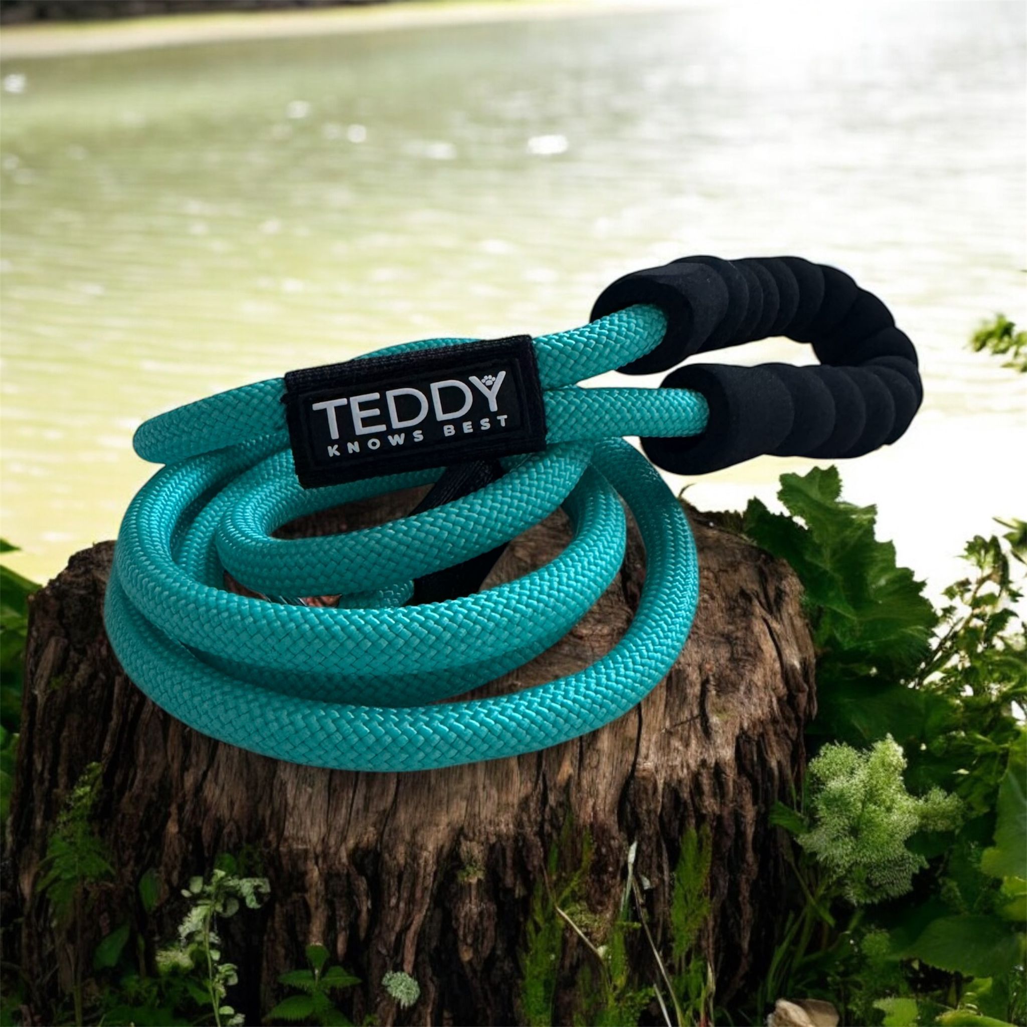 ice blue 6ft rope lead on a tree stump