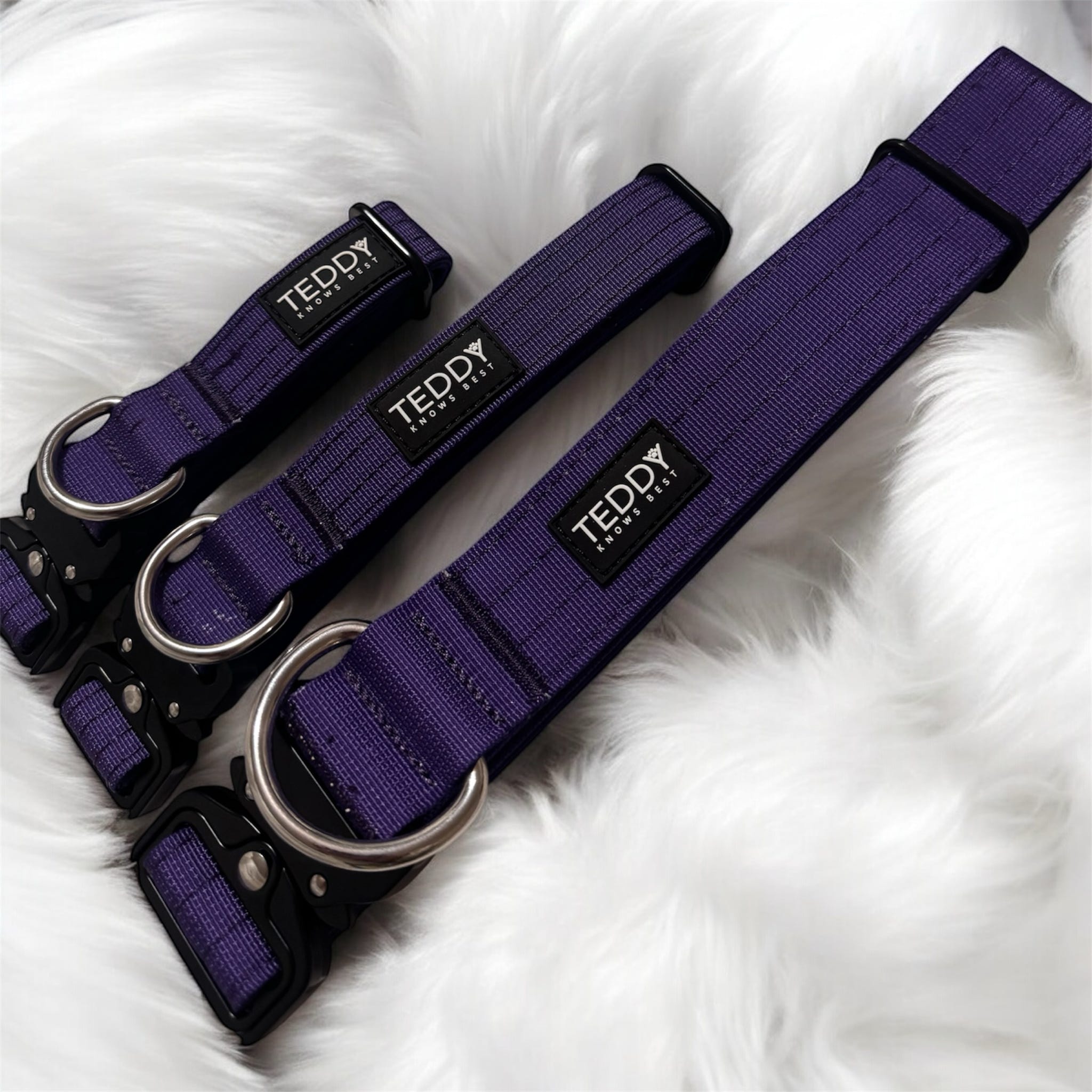 Purple Adventure Collars