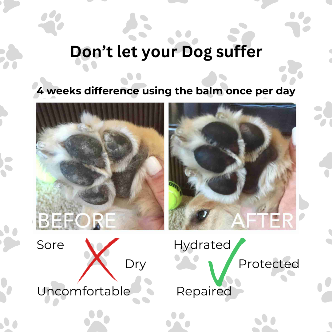 Before and after using paw and nose balm for dogs on a dogs paw pads