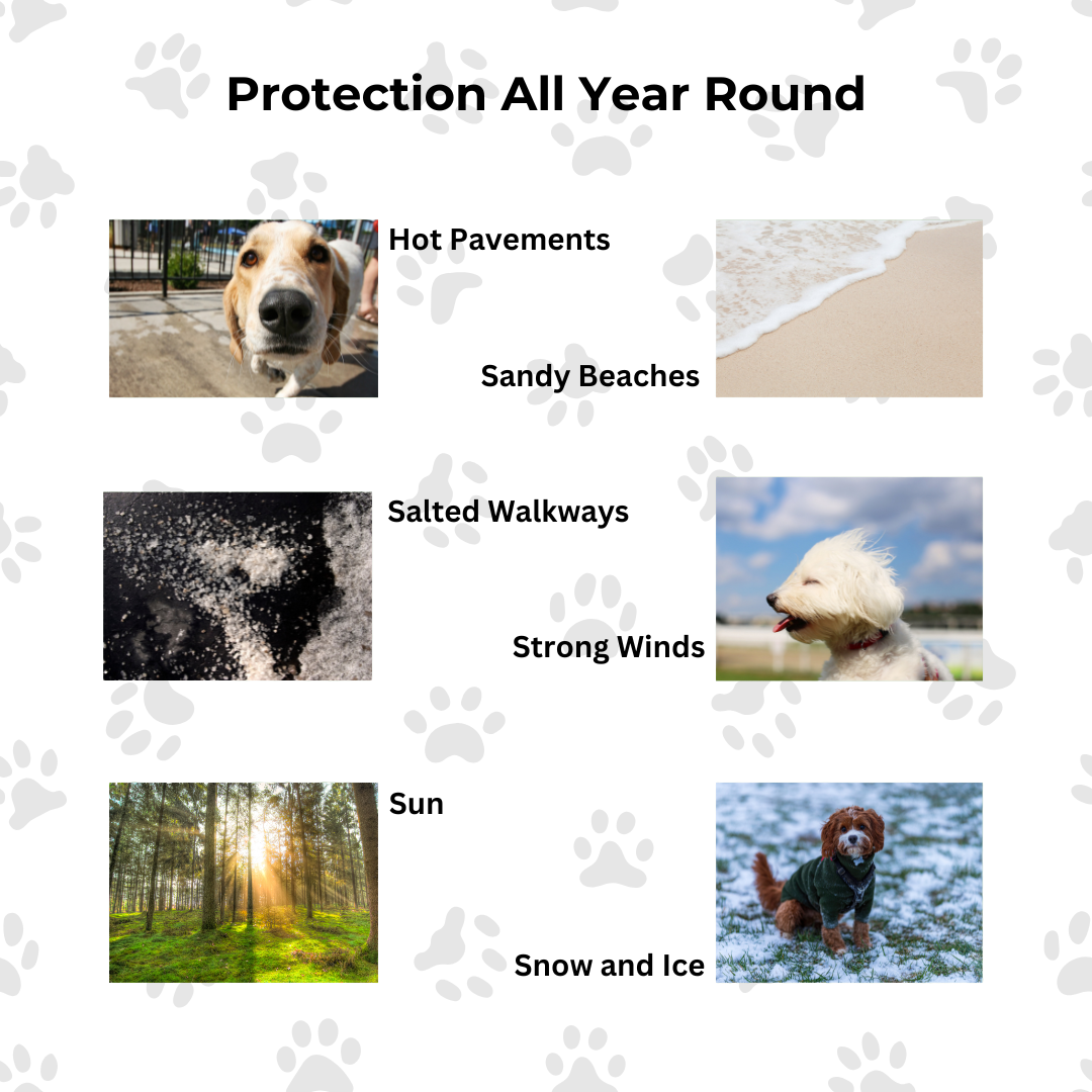 weather conditions that the paw and nose balm for dogs protects against