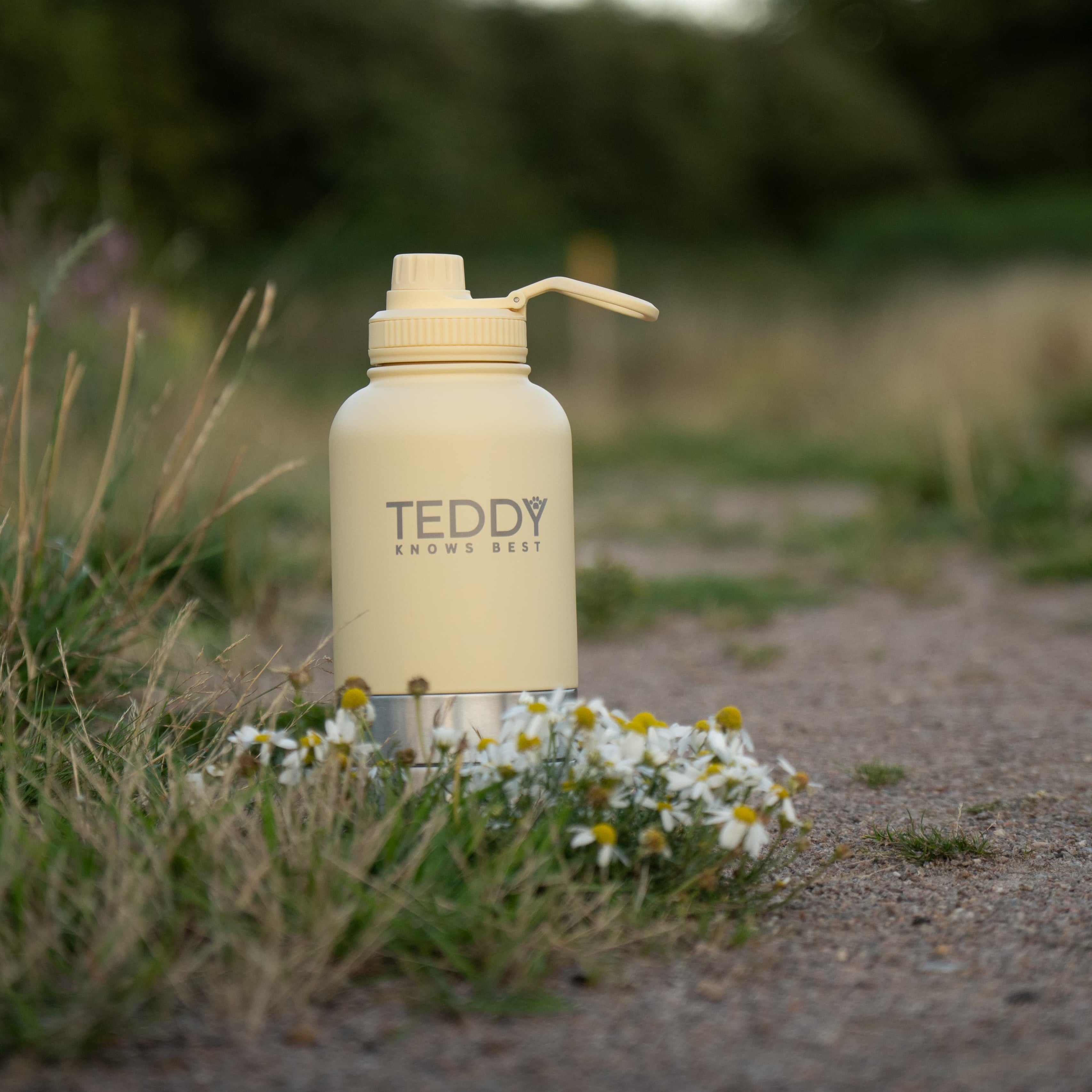 butter yellow bottle with 'TEDDY' branding on a natural background with flowers.