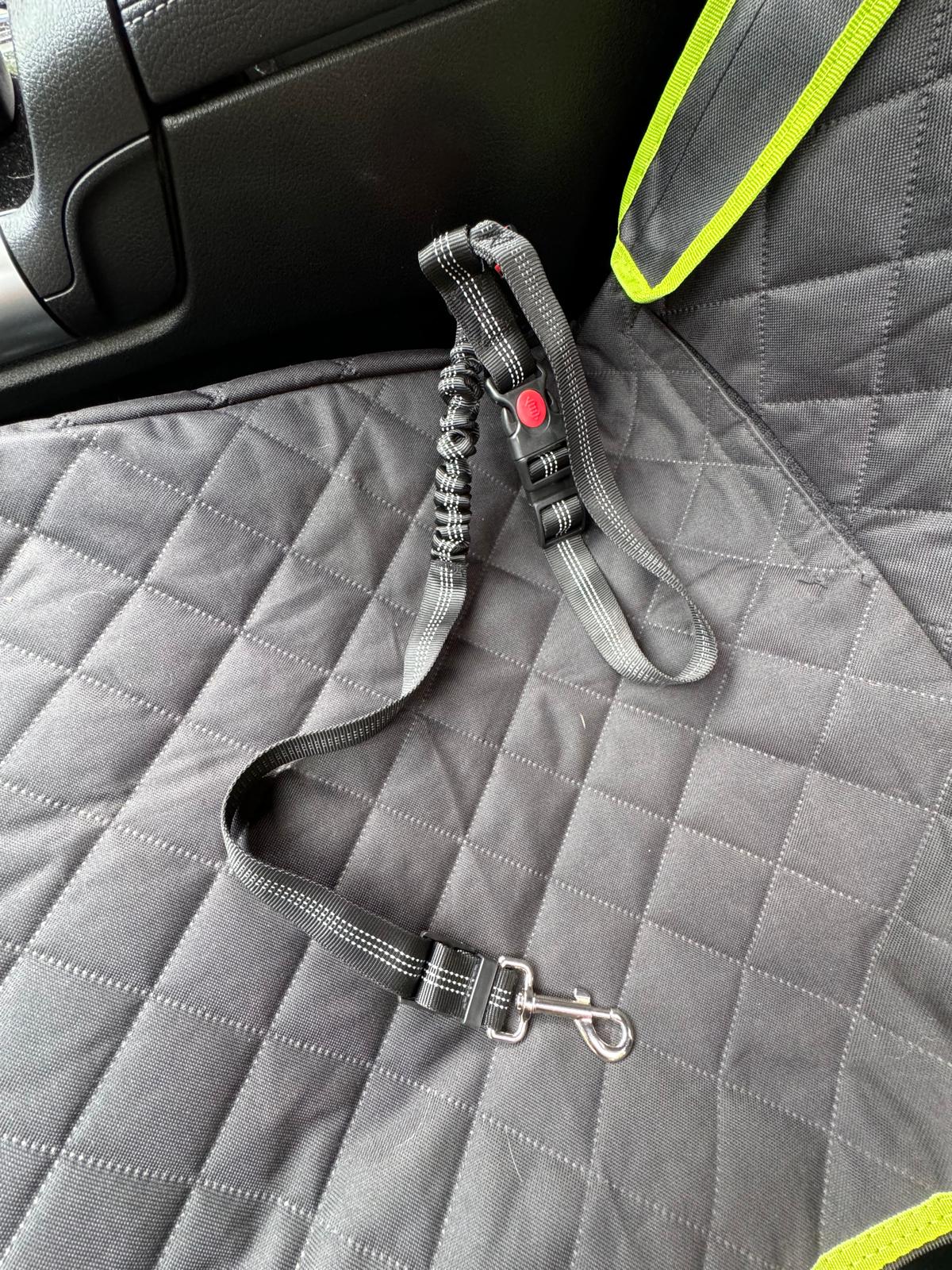 Seat Belt and Lead