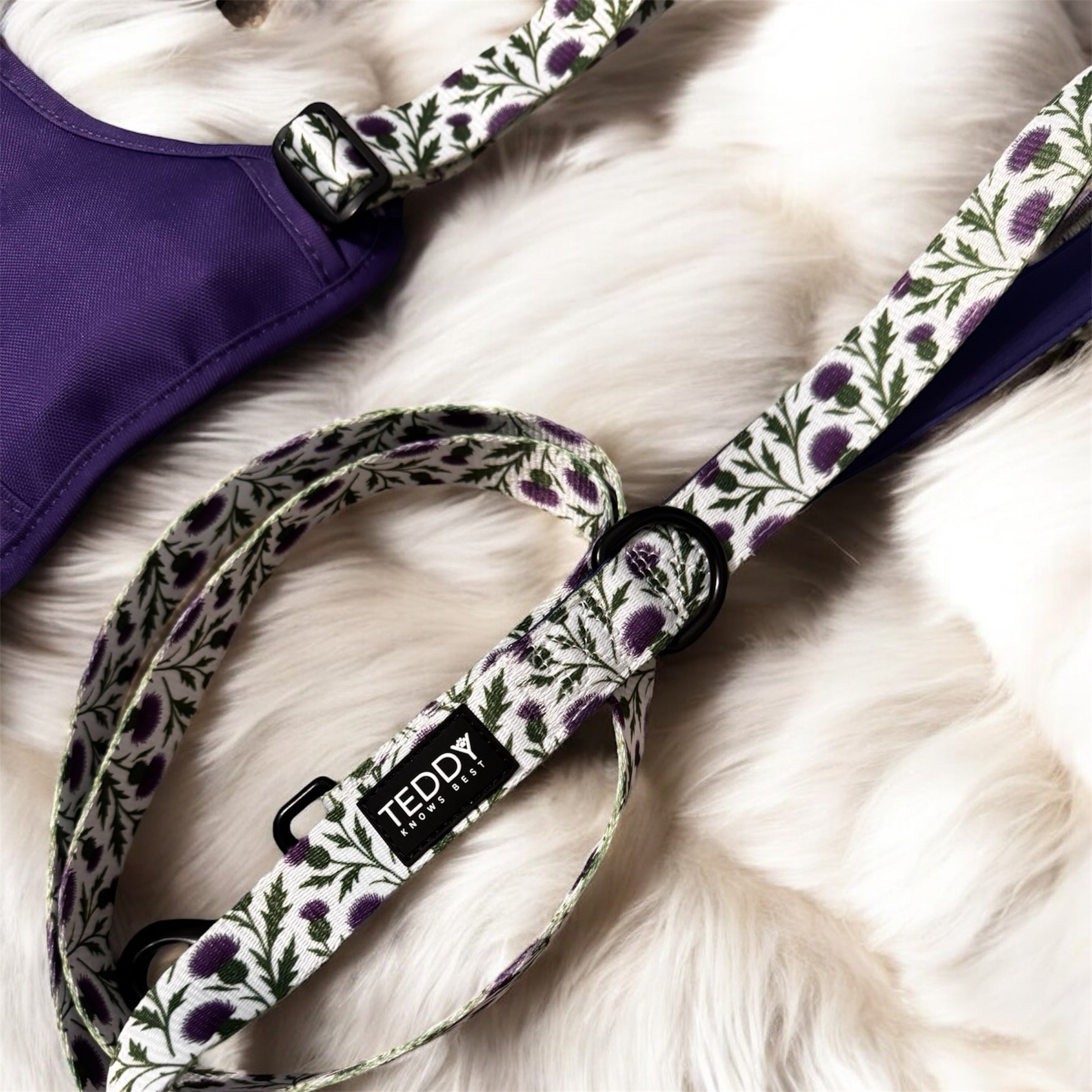 Thistle While You Walk 4.5ft Lead