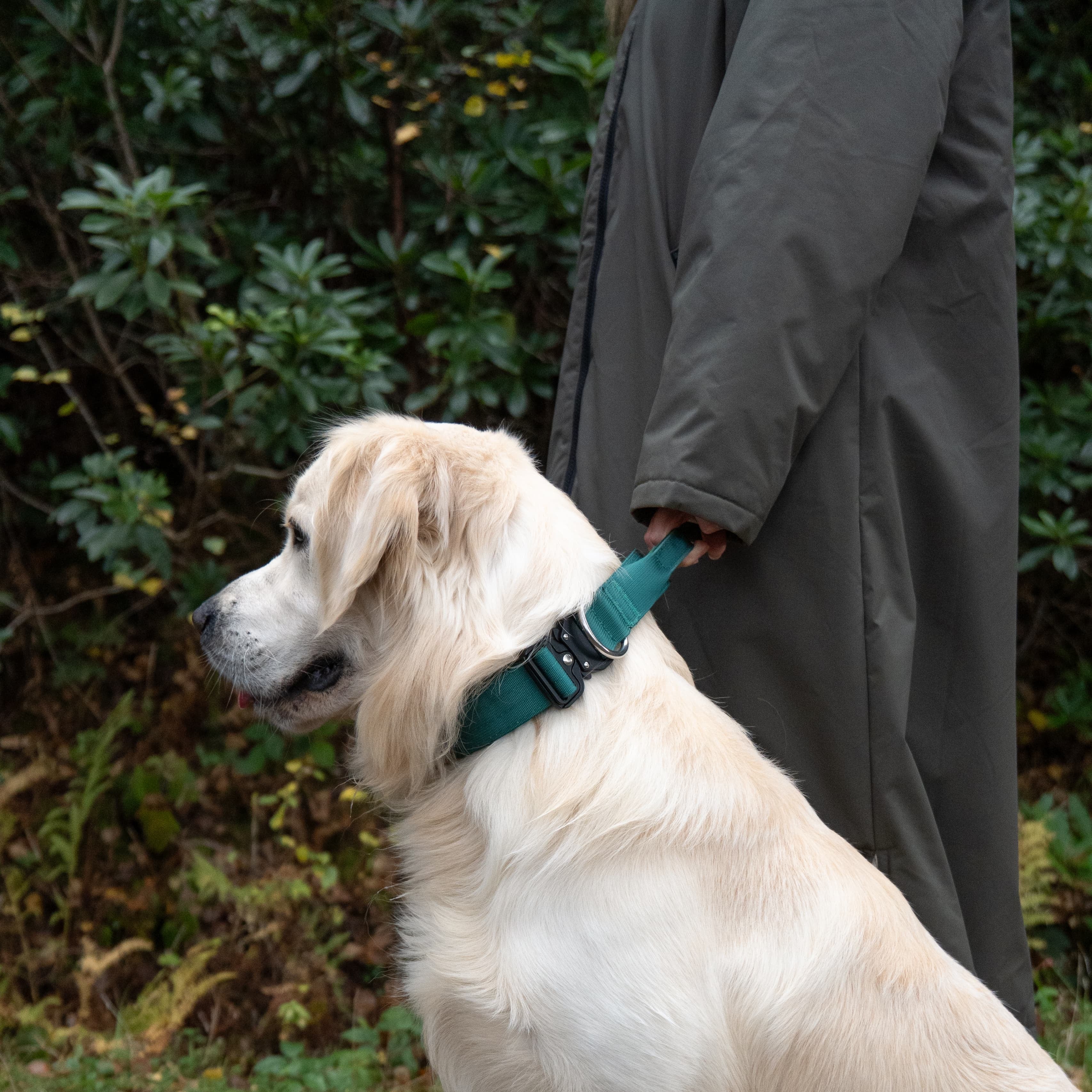 Forest Green Adventure Collars