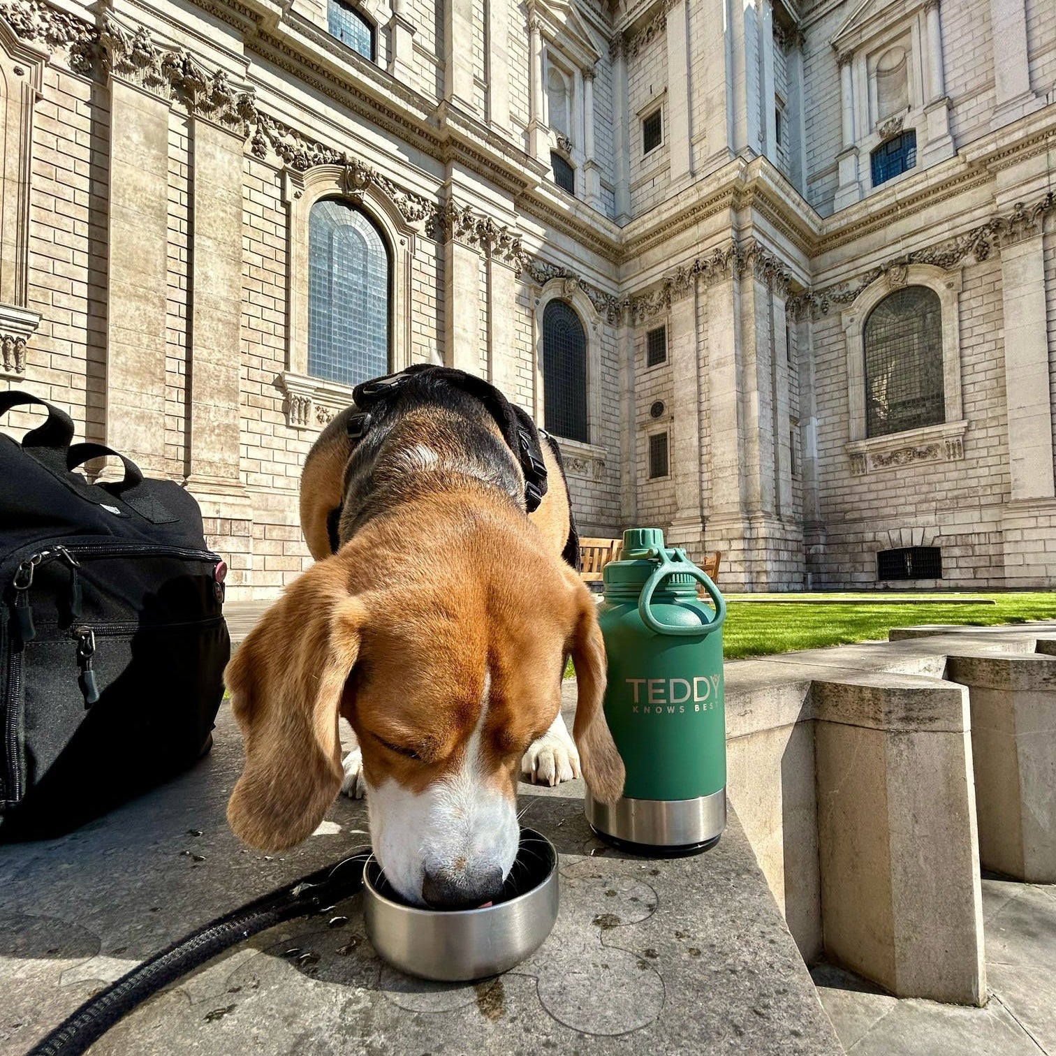 Forest Green 3 in 1 Portable Water Bottle