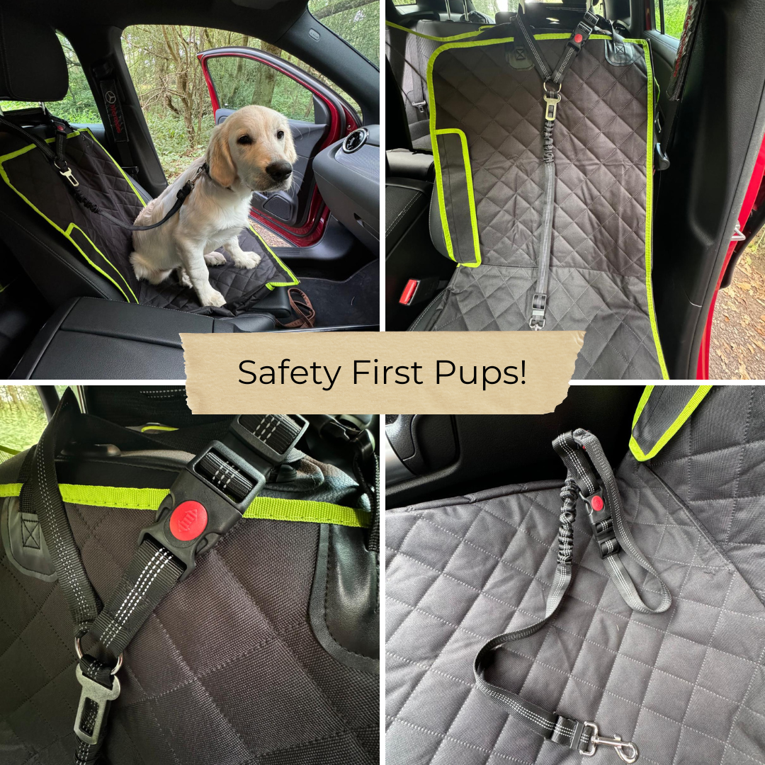 Seat belt for dogs used over the headrest or in the seatbelt clip