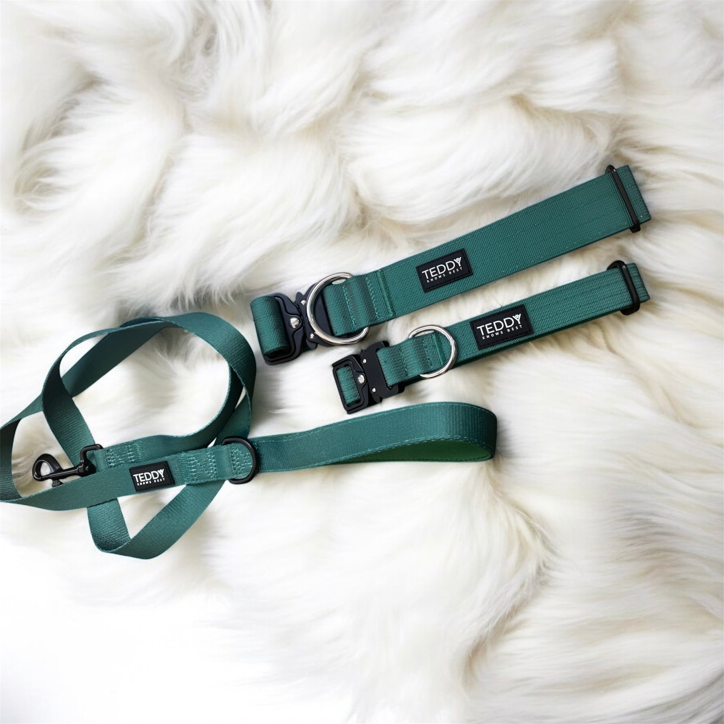 Woodland Wanderers Trio