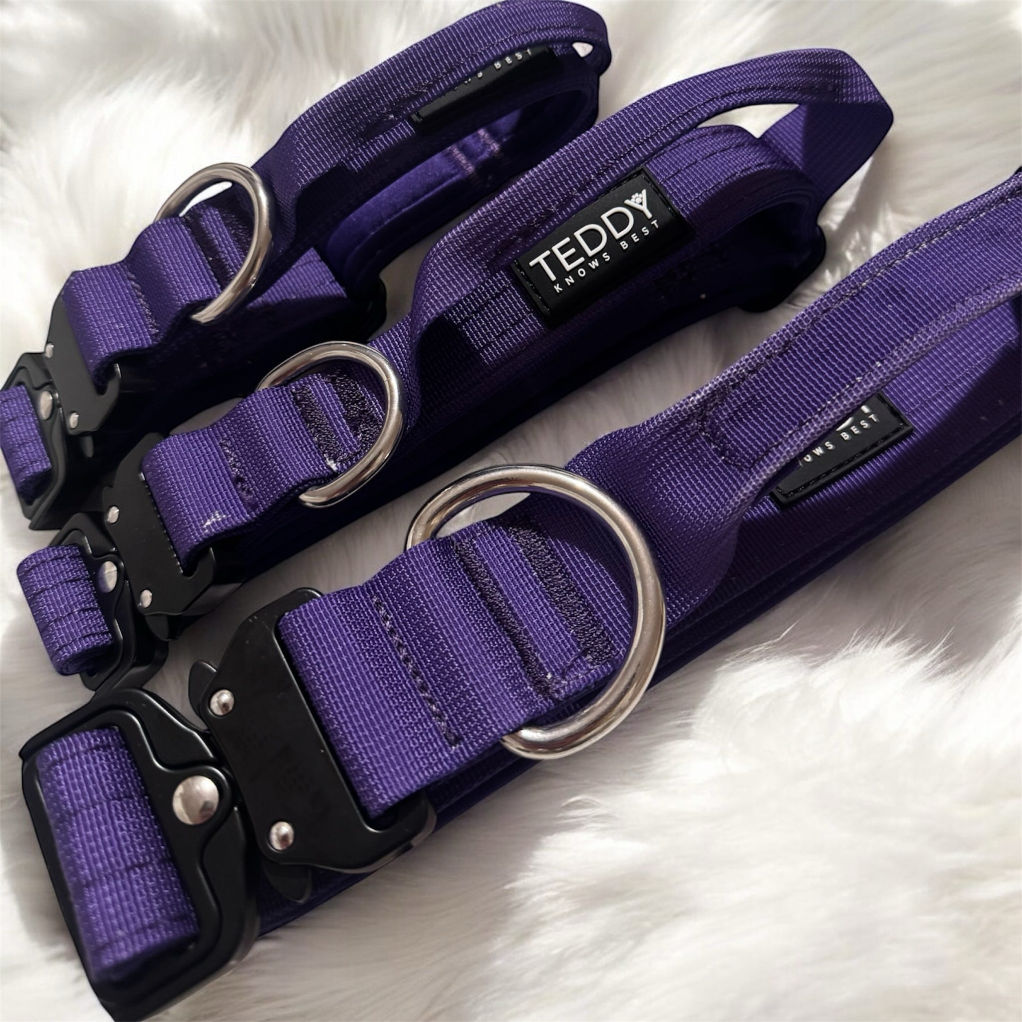Purple Adventure Collars