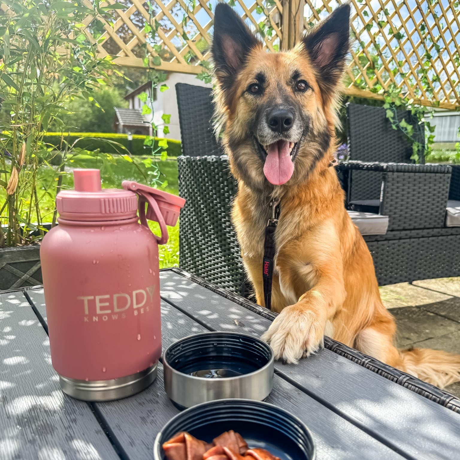 Rose Pink 3 in 1 Portable Water Bottle