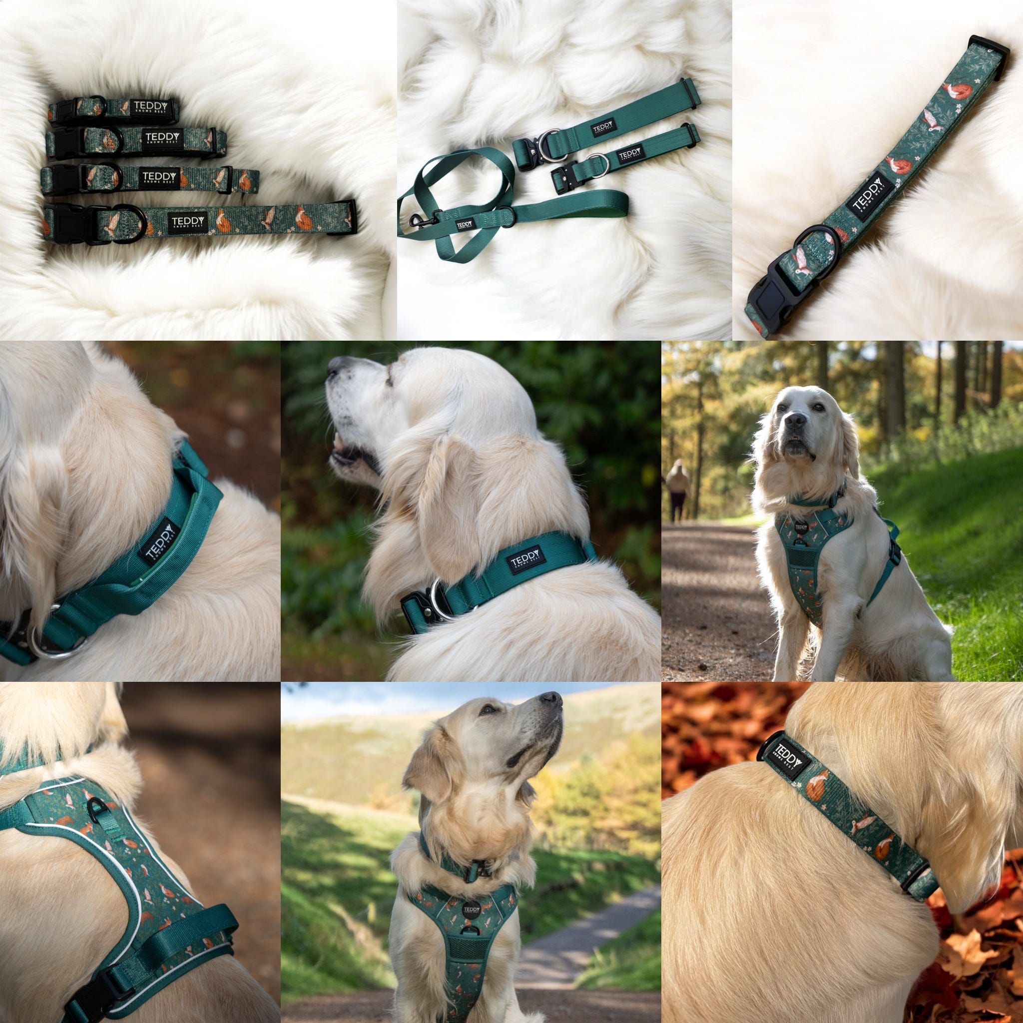 Woodland Wanderers Trio