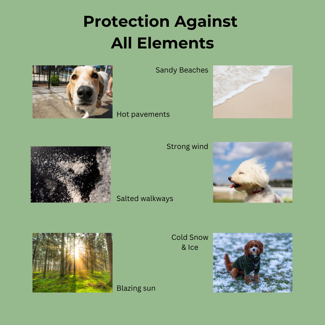 a list of elements the paw balm protects against 